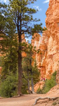 Bryce canyon national park, Utah, USA