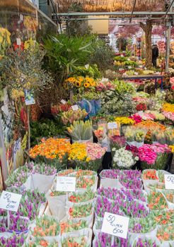 Famouse flower market in the Netherlands Amsterdam