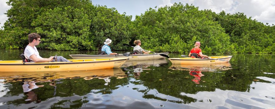 EVERGLADES, FLORIDA, USA - AUGUST 31: Tourists kayaking on August 31, 2014 in Everglades, Florida, USA.