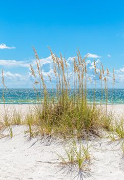 sunny St. Pete beach with sand dunes and blue sky in Florida