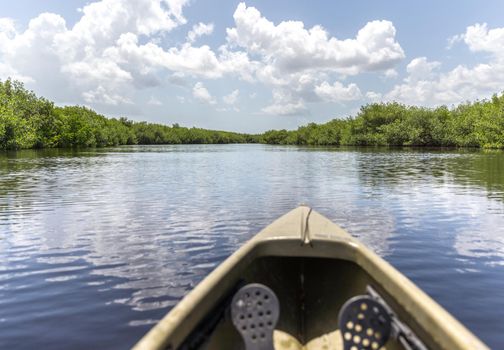 Kayaking in Everglades national park, USA