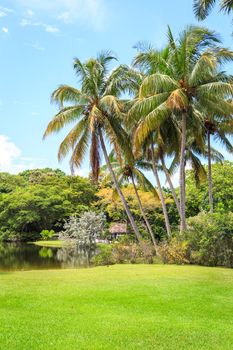 Beautiful garden with nice lawn and palms