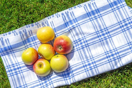 red and yellow apples on a cloth and green grass in a park