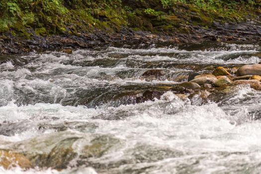 Mountain river in forest