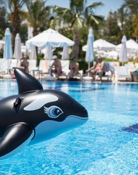 inflatable whale floating in a swimming pool