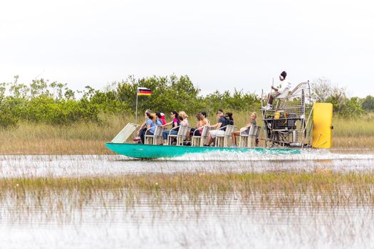 EVERGLADES, FLORIDA, USA - DECEMBER 8, 2016 : Airboat tour at the mangrove forest in Everglades swamp