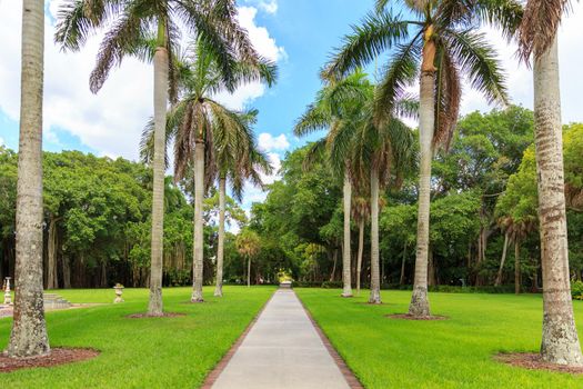 Beautiful park
