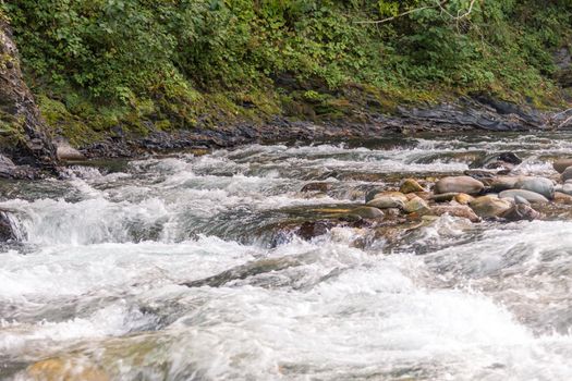Mountain river in forest