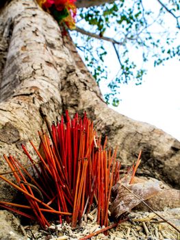 The worship with colored ribbons and incense sticks at the holy tree