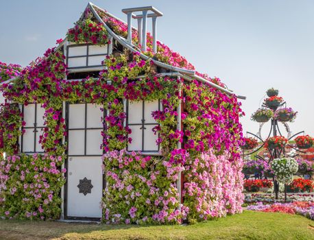 DUBAI, UAE - JANUARY 20: Miracle Garden in Dubai, on January 20, 2014, Dubai, UAE. Beautiful Miracle Garden with 45 million flowers