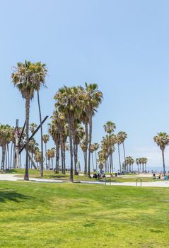 VENICE, UNITED STATES - MAY 21, 2015: Ocean Front Walk at Venice Beach, California. Venice Beach is one of most popular beaches of LA County.