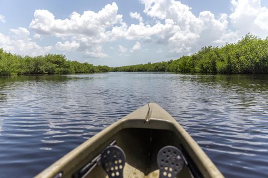 Kayaking in Everglades national park, USA