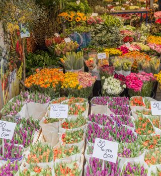 Famouse flower market in the Netherlands Amsterdam