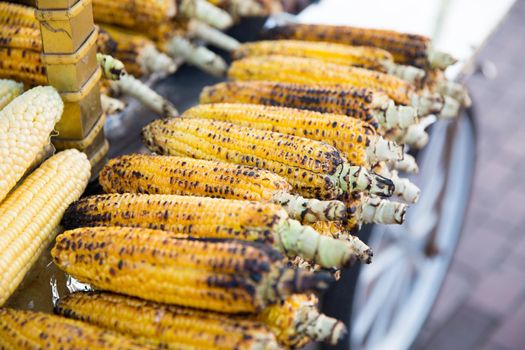 A close-up of rows of charred, delicious, grilled, yellow corncobs