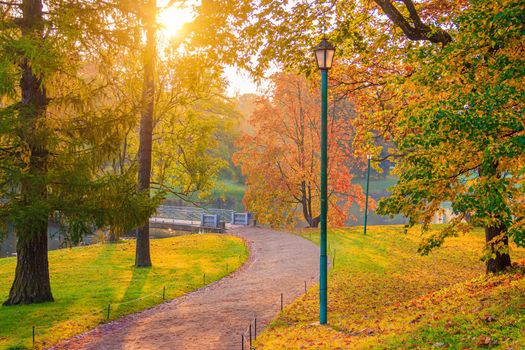 The alley of the autumn park . The season is autumn. September, October, November. A new season. Yellow leaves. A beautiful park. Morning light. Morning autumn Park. Nature