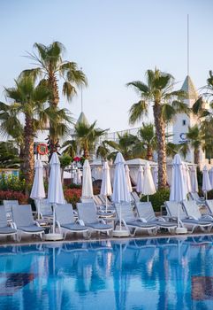 Nice swimming pool with sunbed and palm trees