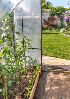 View from greenhouse on beautiful formal garden