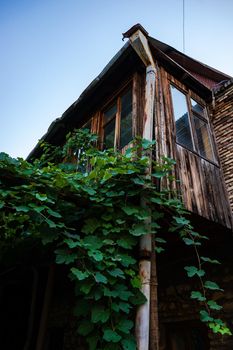 Old wooden house covered with grape vine in Betania, Georgia