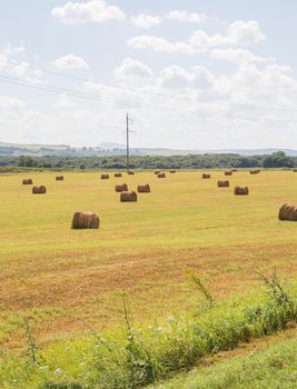 Beautiful landscape with straw bales in summer