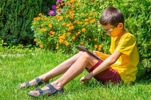 Boy playing with tablet PC on green grass lawn with copy space