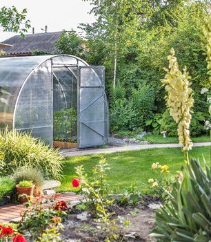 Greenhouse in back garden with open door