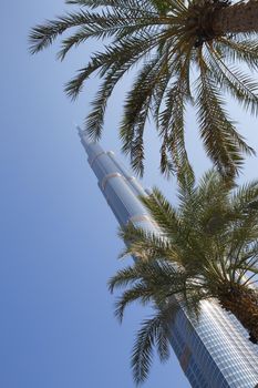 DUBAI, UNITED ARAB EMIRATES – JANUARY 20: Tower Burj Khalifa vanishing in blue sky on January 20, 2014 in Dubai. It is the tallest structure in world since 2010, 829.8 meters and one of the most visited tourist attractions in the world.