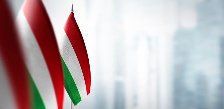 Small flags of Bulgaria on the background of an urban abstract blurred background.