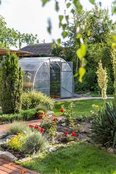 Greenhouse in back garden with open door