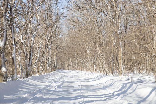 beautiful empty winter road after the snowfall