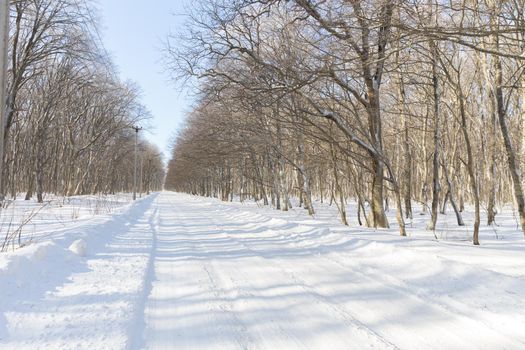 beautiful empty winter road after the snowfall