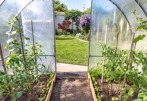 View from greenhouse on beautiful formal garden