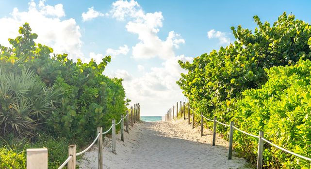Pathway to the beach in Miami Florida with the ocean background