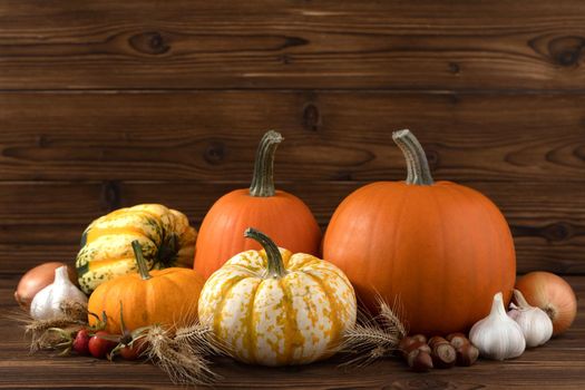 Harvested autumn food pumpkins garlic onion nuts on wooden background