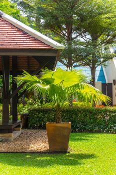 beautiful wooden gazebo in tropical nature