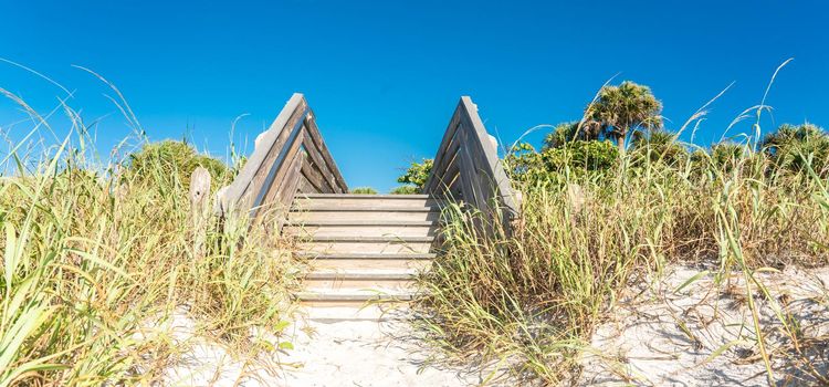 Wooden stairs over sand dune and grass at the beach in Florida, USA