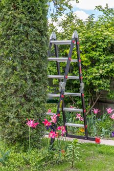 Modern black metal ladder in a garden