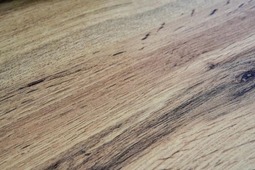 Wood texture. Oak wood background surface for design.