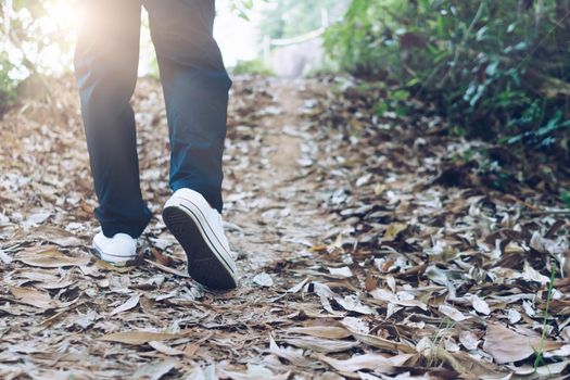 Man is walking into the wood or jungle nature walk way with sunlight.Slow life lifestyle and exercise.