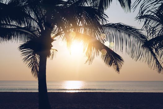 Tropical nature clean beach sunset sky time with sun light background.