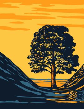 Art Deco or WPA poster of the Sycamore Gap tree in Hadrian’s Wall Country within Northumberland National Park in North East England, United Kingdom done in works project administration style.
