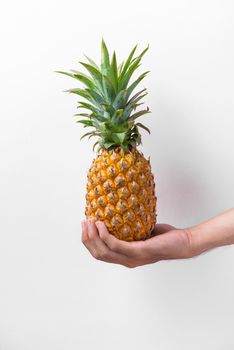 Male hand holding a pineapple isolated on white.