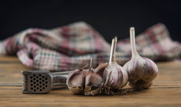 Organic garlic with metal press. Fresh garlic cloves and garlic bulb on a wooden table. Garlic for healthy eating. Concept of spices for healthy cooking. Closeup