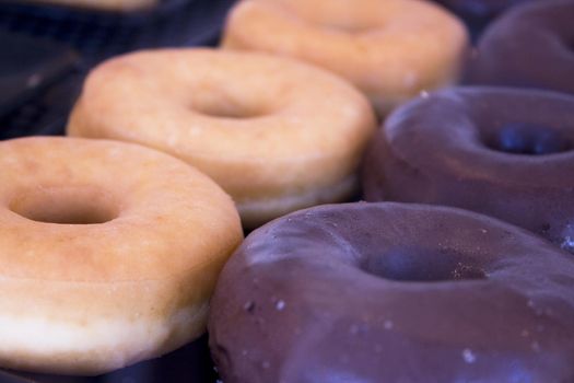 Classic chocolate sugar donuts. No people