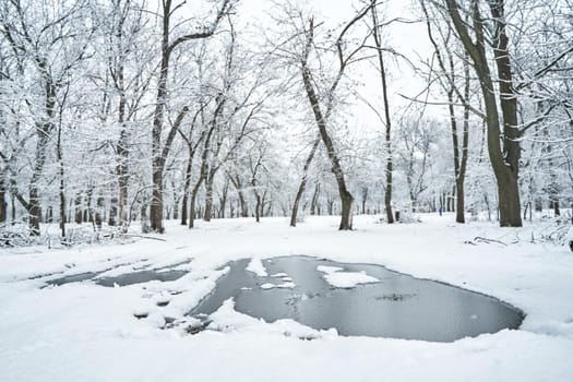 White snow covered winter city park, with frozen puddle in the middle of the road.