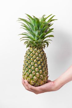 Male hand holding a pineapple isolated on white.