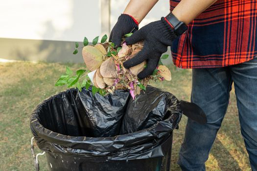 Asian woman clean and collecting bin dry leaves garbage in park, recycle, environment protection. Team with recycle project outside.