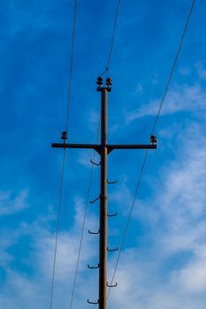 Front view, outdoors vertical shot.