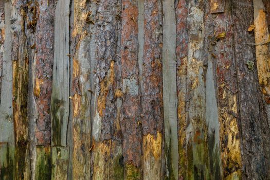 wattle and daub ceiling texture and flat full frame background.