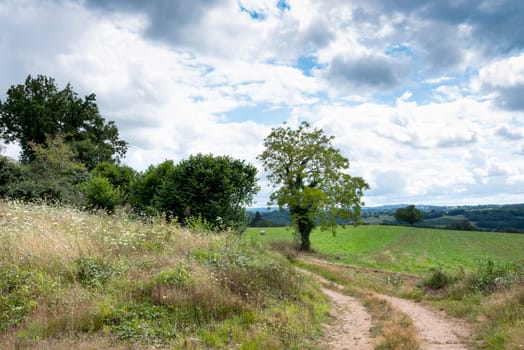 cloudy summer sky over dirt road with flowers and trees in french limousin countryside landscape