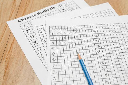 Learn to Write Chinese Characters in Classroom